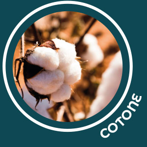 Promoleonardo Stampa articoli promozionali ecologici in cotone