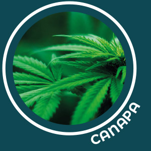 Promoleonardo Stampa articoli promozionali ecologici in canapa