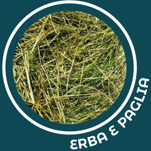 Promoleonardo Stampa articoli promozionali ecologici in erba e paglia