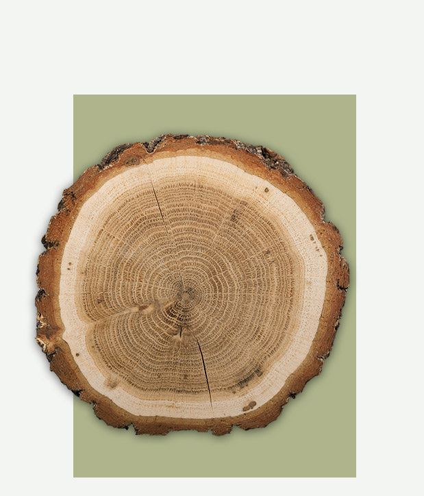 Promoleonardo Gadget promozionali in legno naturale